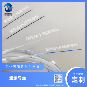 泰州导丝